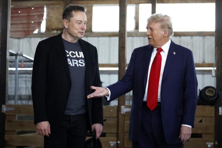 President of the United States of America Donald Trump has appointed Elon Musk to head the Depart of Government Efficiency (D.OG.E).