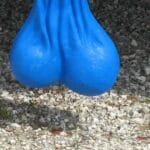 A Medical Doctor has refuted the assertion that men experience 'blue balls' when they do not engage in sexual activity after becoming aroused.