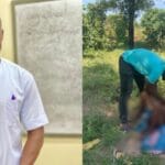 In one of the Upper West Region's rural settlements, a remarkable display of professionalism and bravery revealed the unsung heroics typical of rural health staff.