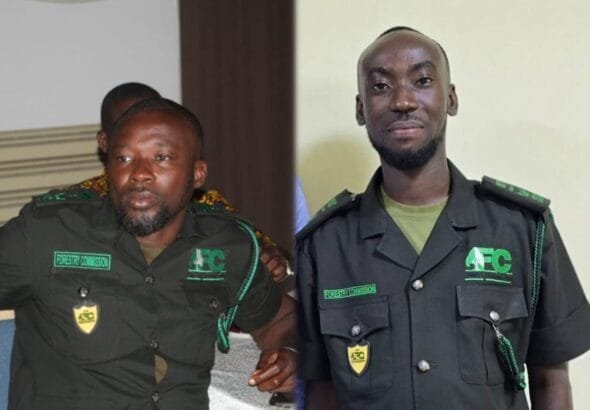 Two Forestry Commission staff under the Timber Industry Development Division (TIDD), have been suspended after they raised Ghs623,000 for the Commission