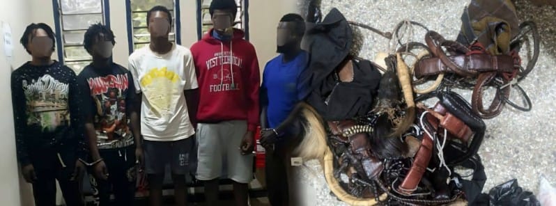 The Western North Regional Police Command has apprehended five (5) individuals suspected of involvement in a series of armed robbery incidents in Sefwi Bekwai and surrounding areas.