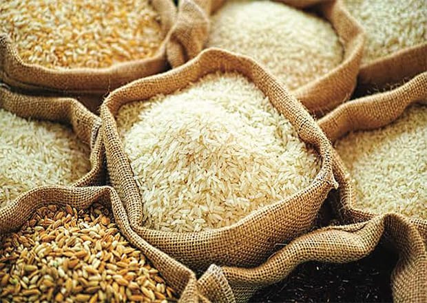 The Mahama-led government has announced a landmark policy shift that will tie rice import permits directly to investment in domestic rice production, declaring clearly to importers: "No local partnership, no import permit". 