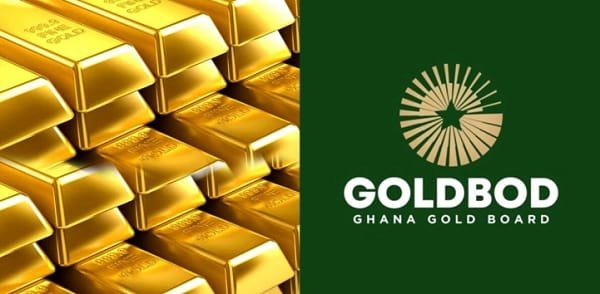 Professor James Atta Peprah has challenged the Ghana Gold Board (GoldBod)'s attempt to distance itself from the reported US$1.7 billion loss associated with the Bank of Ghana's Domestic Gold Purchase Programme (DGPP), arguing that the financial outcome still carries economic consequences regardless of how it is classified.